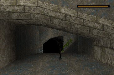 Tomb Raider screenshot 7