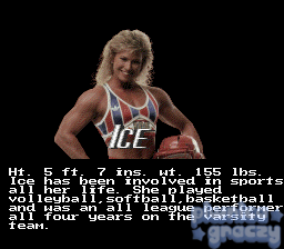 American Gladiators screenshot 3