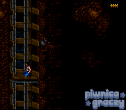 Blackthorne screenshot 10