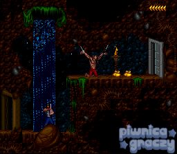 Blackthorne screenshot 5