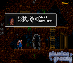 Blackthorne screenshot 7