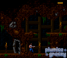 Blackthorne screenshot 9
