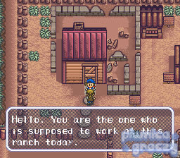 Harvest Moon screenshot 11