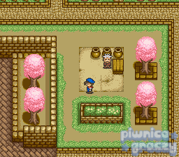 Harvest Moon screenshot 12