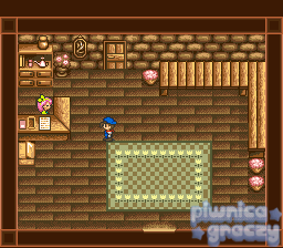 Harvest Moon screenshot 13