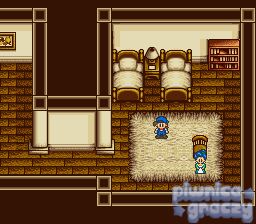 Harvest Moon screenshot 16