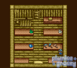 Harvest Moon screenshot 19