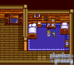 Harvest Moon screenshot 2