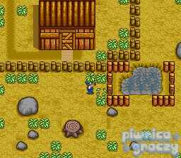 Harvest Moon screenshot 20