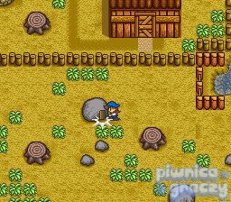Harvest Moon screenshot 21