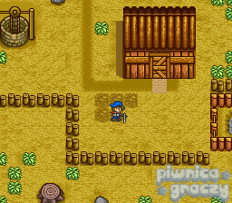 Harvest Moon screenshot 22