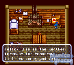 Harvest Moon screenshot 23