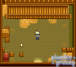 Harvest Moon screenshot 3