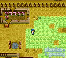 Harvest Moon screenshot 4