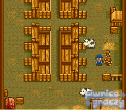 Harvest Moon screenshot 5