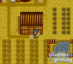 Harvest Moon screenshot 6