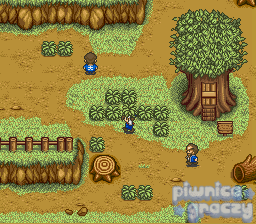 Harvest Moon screenshot 7