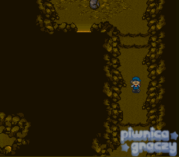 Harvest Moon screenshot 8